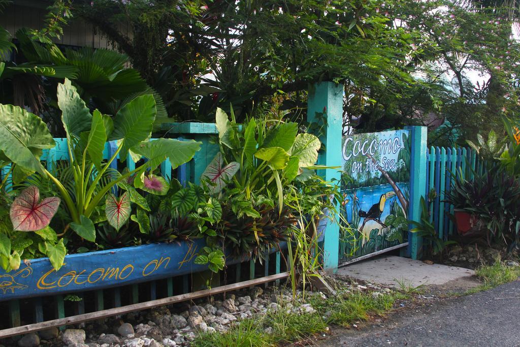 Cocomo On The Sea Bed and Breakfast Bocas del Toro Exterior foto